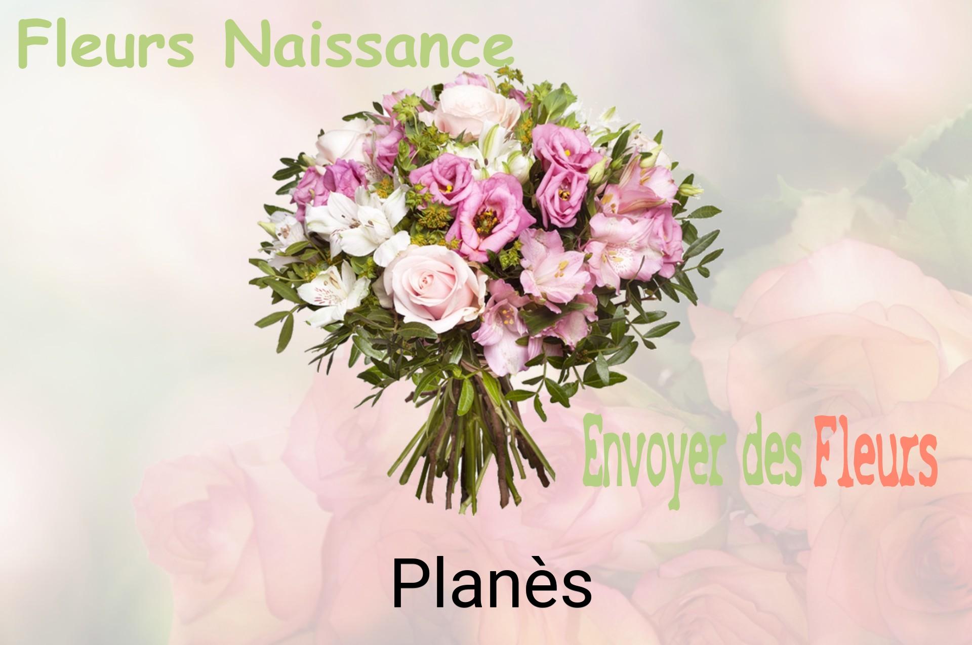 Bouquet de fleurs de naissance livré à Planès