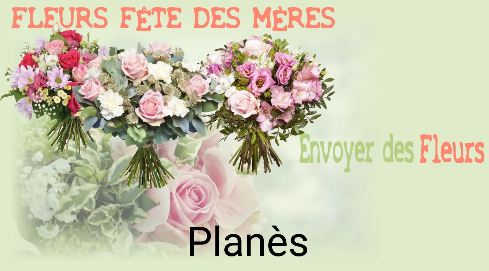 Bouquet de Fête des Mères livré à Planès